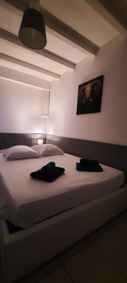 Le Telly-Centre Ville-Petits Prix-Ideal Pour Rayonner Sur La Ville Carcassonne Exterior foto
